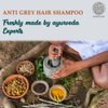 Buddha Natural Grey Hair Shampoo - Revitaizing Hair Cleanser For Grey Hair - 100% Ayush Certified Natural - 200 Ml (200.00 Ml (Pack Of 1) Dark Purple Color)