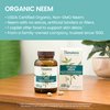 Himalaya Organic Neem Herbal Supplement, for Mild Acne & Clear Skin, Purifying, Ayurvedic, USDA Certified Organic, Non-GMO, Vegan, 600 mg, 60 Plant Based Caplets, 2 Pack
