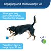 PetSafe Ricochet - Electronic Squeaking Dog Toy - 2 Paired Toys Squeak to Keep Dogs Busy - Engaging Puzzle for Bored, Anxious or Energetic Pets