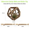 Kamanda Cat Catnip Toy,3Pcs Catnip Toys Set with 1Pcs Catnip Ball Toys with 2Pcs Nature Silvervine Stick,Cat Toys for Indoor Cats Cat Chew Toy for Cleaning Teeth,Relaxing Cats Toy for All Breeds