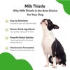 Pet Wellbeing Milk Thistle for Dogs - Supports Liver Health, Protects Liver - Glycerin-Based Natural Herbal Supplement - 2 oz (59 ml)