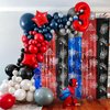 Spider Web Birthday Decorations Backdrop 2 Pack Spider Party Supplies Red Blue and Black Halloween Tinsel Foil Fringe Curtains Party Streamers Background for Boys Spider Theme Party Decorations