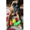 Spunky Pup Holding Treat Play Dog Toy | Interactive Treat Toy for Dogs | Promotes Healthy Teeth & Gums | Pear
