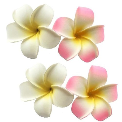 4Pcs White and Pink Hawaiian Frangipani Plumeria Foam Head Flower Clips,Bridal Wedding Party Beach Hair Clip Hair Clips Hair Accessories(7cm)