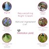 Manuka Lane Night Cream with Retinol, Manuka Honey, and Peptides Real Glowing Results for Youthful, Healthy Skin