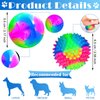 Skylety 2 Pieces Light up LED Dog Ball Elastic Flashing Ball Glowing Interactive Dog Toy Ball Flash LED Dog Ball Toy Pet Color Ball Bounce-Activated for Dogs and Puppies