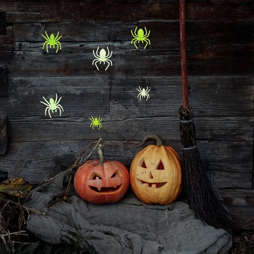 PRETYZOOM 200 Pc Plastic Spiders Halloween Small Fake Spiders Prank Toy Realistic Tiny Spiders Terror Prank Props for Halloween Decorations (6 Colors, 3 Styles, 2 Sizes)