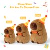 Ditucu Cute Capybara Plush with Happy Birthday Hat Bow Soft Capibara Stuffed Animals Plushies Toys for Birthday Gifts Party Decoration for Kids Brown 9 inch