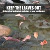 Poyee Pond Netting for Leaves 6.5 x 13 Feet - Pool Leaf Cover Net with Small Fine Mesh - Protecting Koi Fish from Birds, Cats - Stakes Included.