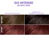 SoftSheen-Carson Dark and Lovely Ultra Vibrant Permanent Hair Color Go Intense Hair Dye for Dark Hair with Olive Oil for Shine and Softness, Spicy Red