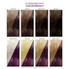 Adore Semi Permanent Hair Color - Vegan and Cruelty-Free Hair Dye - 4 Fl Oz - 079 Burgundy Envy (Pack of 1)