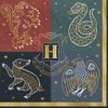 Harry Potter Hogwarts United Paper Party Napkins - 5" x 5" | Multi-color | Pack of 16