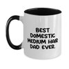 Unique Idea Domestic Medium Hair Cat Two Tone 11oz Mug, Best Domestic, Present For Cat Dad, Motivational Gifts From Friends, Domestic medium hair cat toy ideas, Domestic medium hair cat food ideas