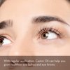 Pure Body Naturals Castor Oil for Eyelashes and Eyebrows - Brow and Lash Growth Serum - Organic Hexane Free Cold Pressed Unrefined - 1 fl oz