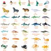 FLORMOON Mini Ocean Sea Animal Figures 36 pcs Realistic Plastic Aquarium Animals Action Model, Shark Bath Toys for Science Project, Birthday Party Cake Topper Gift for Kids Toddlers