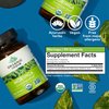 ORGANIC INDIA Moringa Capsules Organic - Moringa Supplement - Green Superfood, Moringa Leaf Capsules, Pure Supergreen, Vegan Greens, Nature's Multivitamin, Vegan, Gluten-Free - 90 Capsules