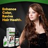 Biogreen Roots Ammonia-Free Herbal Hair Shampoo - Effectively Covers Gray Hair for Men and Women - Natural Color and Herbal Nourishment - No Stain on Skin - Dark Brown (400 ml)