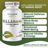 Hallusa Natural Anamu Root 450 mg - Petiveria Allicea - Anamu Capsules Organic - Immune System & Energy - 100 Capsules
