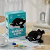 ALITTDRE Marine Animals Building Blocks Sets Mini Building Blocks Ocean Animal Sea Creatures Building Blocks Set Mini Building Blocks Toys STEM Gifts for Kids Adult(Killer Whale)