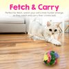 Cat Crinkle Balls 1.5 Inch (12-Pack) - Mini Crinkle Cat Toys for Indoor Cats - Multi-Color Crinkle Cat Toy - Cat Toys Crinkle Balls to Keep Fit and Active - Canadian-Made Crinkle Balls for Cats