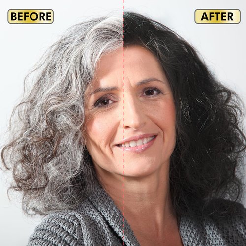 AUSGREER Black Hair Dye Shampoo 3 in 1 for Women & Men Gray Hair Coverage Hair Color Shampoo Hair Dye Shampoo 16.9Fl Oz(500ML)