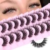 Natural Lashes Fluffy False Eyelashes Wispy Lashes 3D Volume Strip Lashes 14mm D Curl Fake Eyelashes with Clear Band 10 Pairs Eye Lashes by Calphdiar