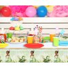 Princess Tablecloth Green Floral Birthday Party Table Covers Princess and Frog Girls Birthday Party Decorations Supplies 70.8 x 42.5 in (2)