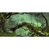 AWERT 72x24 inches Foggy Forest Terrarium Background Stone Green Tree Tropical Reptile Habitat Background Rainforest Aquarium Background Durable Polyester Background