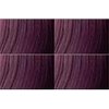 DaVinci Hair Color 6PR - Dark Plum Red Blonde (3.4 oz.) by Da Vinci Haircare