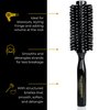 SALLY HERSHBERGER Medium Round Brush - Premium, Salon-Tested, Volumizing and Smoothing Barrel Hair Brush - For Styling, and Blow Drying Thick Through Fine Hair - Boar Bristle Design - 1 pc