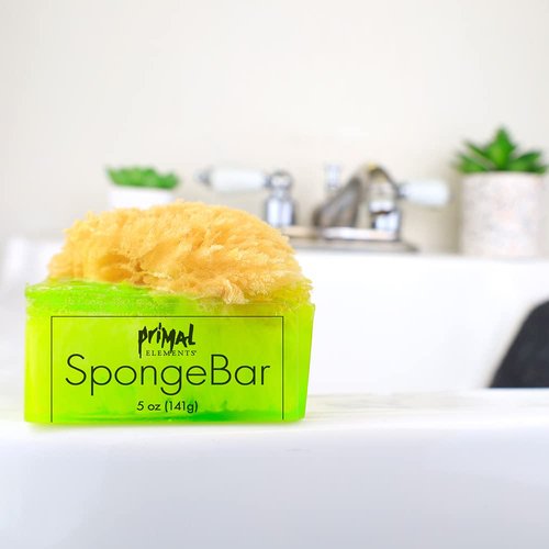 Primal Elements Sea Salt and Citrus SpongeBar Soap (Pack of 2)