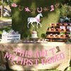 Sursurprise Western 2nd Birthday Party Decorations, This Ain't My First Rodeo Banner, Cowgirl Mexican Two Birthday Party Supplies