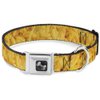 Dog Collar Seatbelt Buckle Mac Cheese Vivid 9 to 15 Inches 1.0 Inch Wide