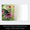 Tree-Free Greetings EcoNotes Stationary- Blank Note Cards with Envelopes, 4" x 6", Moments Rest, Boxed Set of 12 (FS66504)
