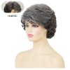 Siudus Grey Short Curly Wigs for Women with Bangs Gray Fluffy Synthetic Hair Wigs Old Lady Natural Looking Cosplay Daily Wig(Black Grey)