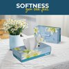 Finetouch Soft Facial Tissues 2 Ply Box Of 130 Pack of 6 (780 Facial Tissues Toatal) Family Pack (6) Design may Vary