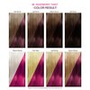 Adore Semi Permanent Hair Color - Vegan and Cruelty-Free Hair Dye - 4 Fl Oz - 086 Raspberry Twist (Pack of 1)