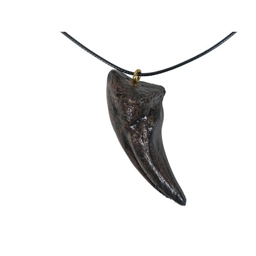 Mid-Land Scientific Gorgosaurus Dinosaur Claw Pendant Necklace (344-4)