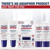Aquaphor Lip Repair Ointment - Long-lasting Moisture to Soothe Dry Chapped Lips - .35 fl. oz. Tube (Pack of 2)