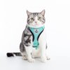 PUPTECK Cat Harness and Leash Set Escape Proof Reflective Cat Walking Harness Adjustable Soft Breathable Mesh Vest for Small Pets, Aquamarine, S