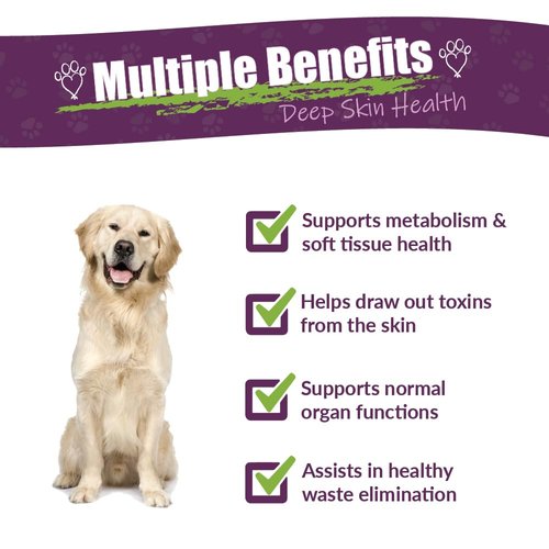 AMBER NATURALZ Tumoxil Deep Skin Health Herbal Supplement for Dogs and Puppies | Canine Herbal Supplement for Skin and Metabolism Support | 1 Fluid Ounce Glass Bottle | Manufactured in The USA