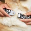 Dog Collar Seatbelt Buckle Zig Zag Doodle Black White 11 to 17 Inches 1.0 Inch Wide