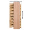 Redecker Natural Pig Bristle Nail Brush with Untreated Beechwood Handle, Set of 2, 3-3/4-Inches
