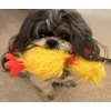 Glory To Dog Phyllis The Crazy Chicken Plush and Squeak Small and Medium Breed Dog Toy
