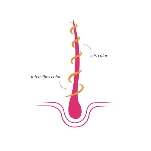 Khadi Color Care Hair Oil - Herbal Treatment for Natural Hair Color, Shine, UV & Color Protection, Silicone-free, Ayurvedic, Vegan, Organic Beauty 1.69oz