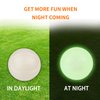 SKIPDAWG Interactive Squeaky Dog Ball, Light Up Dog Ball Glow in Dark, Floating Dog Toy Ball Durable TPR Light Weight, Bouncy Dog Tennis Ball for Dogs Size 2.5 Inches, 1 Pack