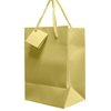 Novel Box Ivory Gift Bags with Handles 10 Pack Small Paper Bags - Shopping Bags Bulk Gift Bags Business, Shopping, Birthday Paper Shopping Bags - Shopping Bags for Groceries