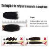 Afro Kinky Curly Clip in Human Remy Hair Extensions Brazilian Curly Clips Hair Extensions 4B 4C 8A Virgin Thick Natural Black Color Clip on For Black Women 10-22 inch (10 inch, AC #1B)