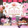 Sursurprise Western Cowgirl 2nd Birthday Decorations - This Ain’t My First Rodeo Backdrop Banners Garlands Cake Cupcake Toppers Balloons, Mexican Two Bday Party Supplies