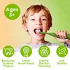 Brusheez Kids’ Electric Toothbrush Set - Safe & Effective for Ages 3+ - Parent Tested & Approved with Gentle Bristles, 2 Brush Heads, Rinse Cup, 2-Minute Timer, & Storage Base (Snappy The Croc)